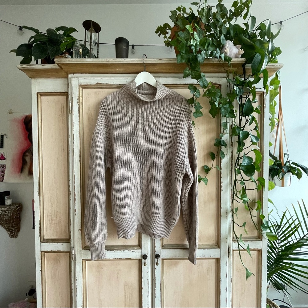 Wool tutleneck Aritzia sweater